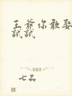 王爷你敢娶小三试试