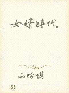 女婿时代