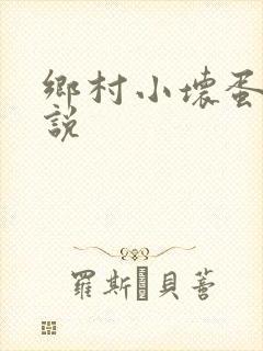 乡村小坏蛋 小说