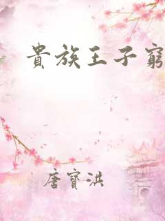 贵族王子穷公主