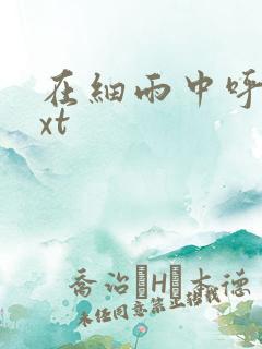 在细雨中呼喊txt