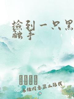 捡到一只黑心小触手