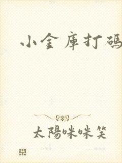 小金库打码平台