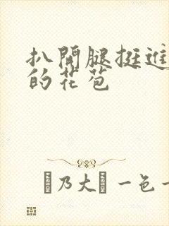 扒开腿挺进湿润的花苞