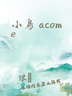 小鸟 acome