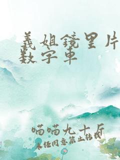 义姐镜里片微博数字车