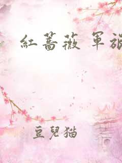 红蔷薇 军旅文