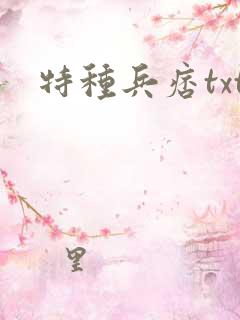 特种兵痞txt