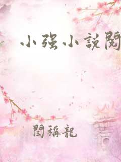 小强小说阅读网