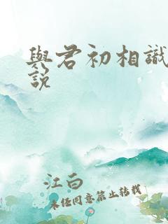与君初相识 小说