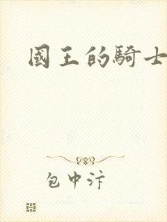 国王的骑士