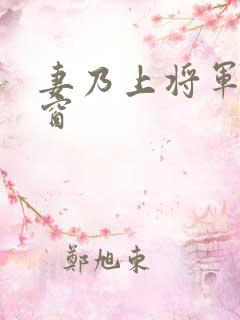 妻乃上将军无弹窗