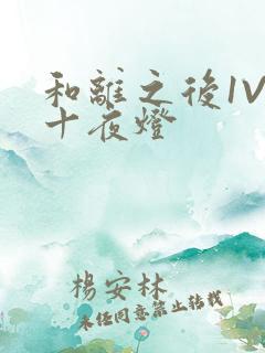 和离之后1V1十夜灯