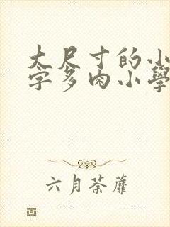 大尺寸的小黄说字多肉小学