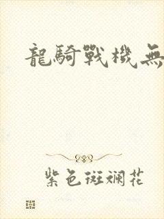 龙骑战机无弹窗