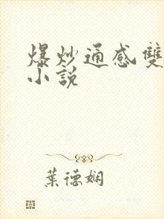 爆炒通感双胞胎小说