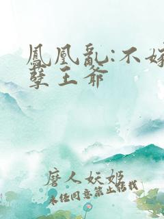 凤凰乱:不嫁妖孽王爷
