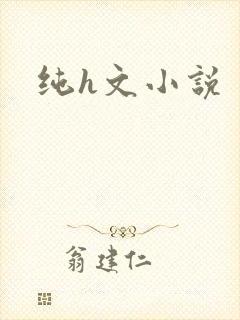 纯h文小说
