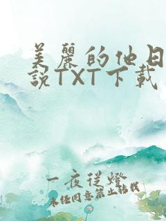 美丽的他日剧小说TXT下载