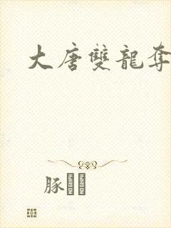 大唐双龙夺艳记