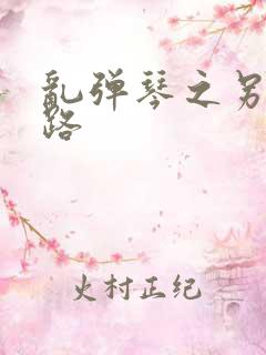 乱弹琴之另一条路