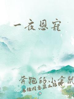 一夜恩宠