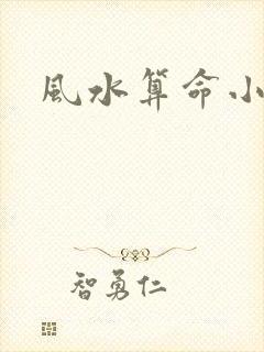 风水算命小说