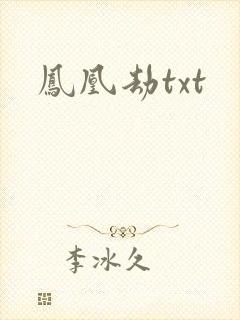 凤凰劫txt