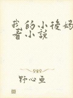 我的小后妈免费看小说