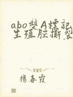 abo双A标记生殖腔撕裂