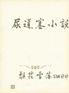 尿道塞小说