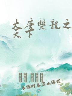 大唐双龙之无敌天下