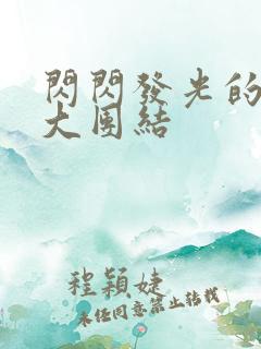 闪闪发光的小说大团结