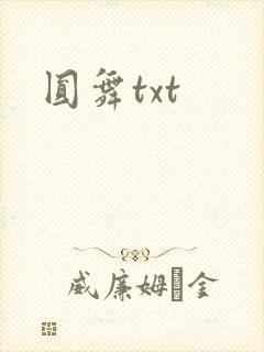 圆舞txt