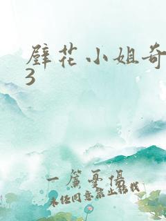 壁花小姐奇遇记3