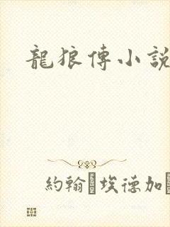 龙狼传小说