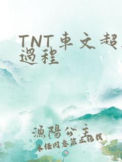 TNT车文超细过程