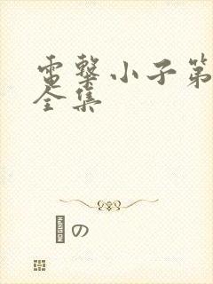 电击小子第二部全集