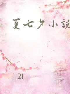 夏七夕小说