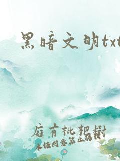 黑暗文明txt