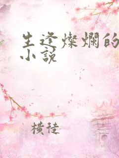 生逢灿烂的日子小说