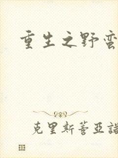 重生之野蛮盗贼