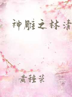 神雕之林清传