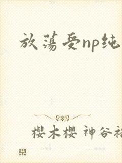 放荡受np纯肉
