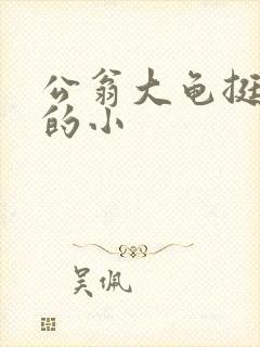 公翁大龟挺进我的小