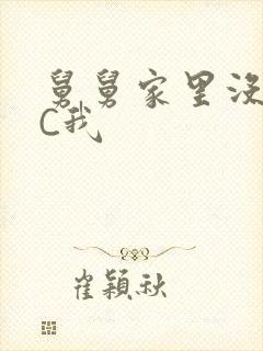 舅舅家里没人快C我