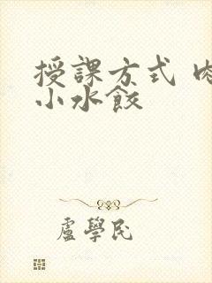 授课方式 肉馅小水饺