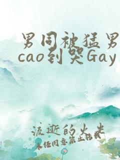 男同被猛男房东cao到哭Gay