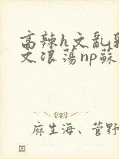 高辣h文乱乳h文浪荡np苏夏