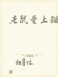 老鼠爱上猫下载